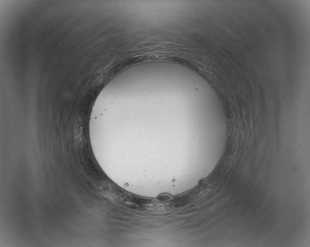 X0000057040615200509090818
