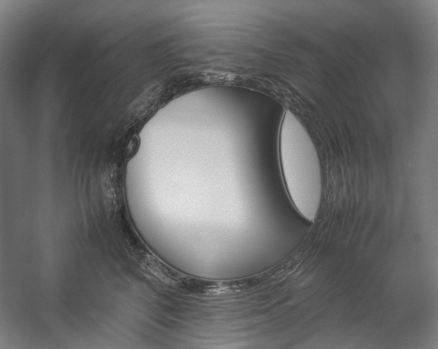 X0000057040616200509090818