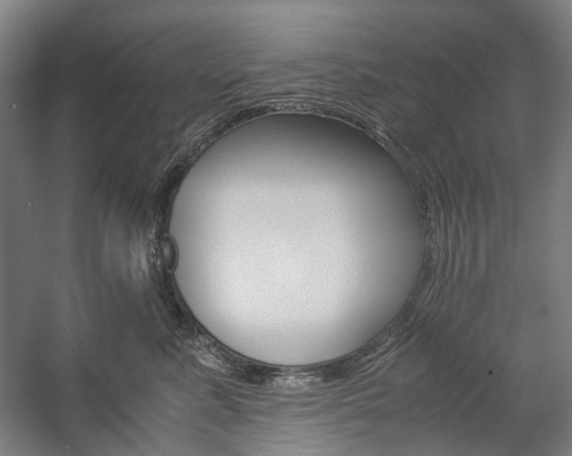 X0000057040619200509090818