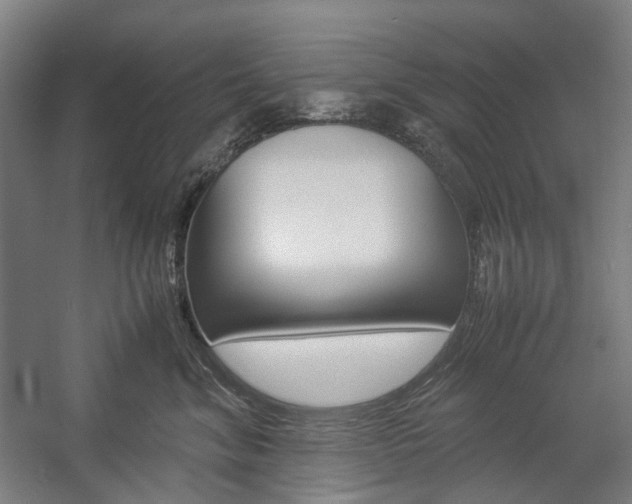 X0000057040620200509090818