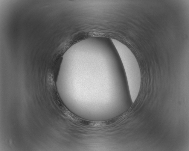 X0000057040621200509090818