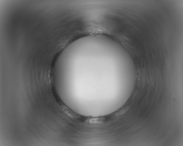 X0000057040622200509090818