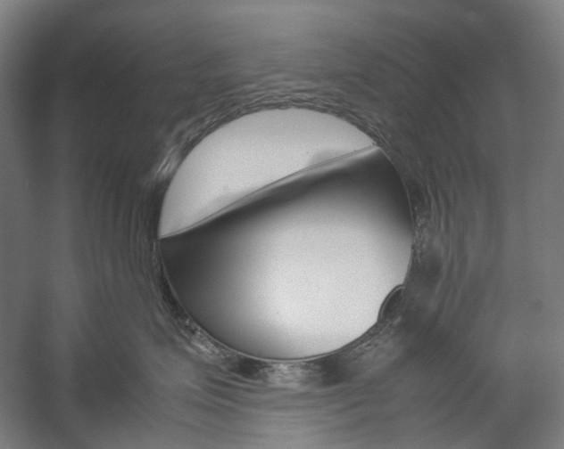 X0000057040623200509090818