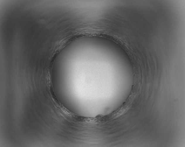 X0000057040624200509090818