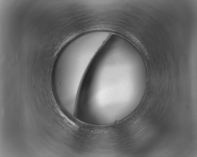 X0000057040625200509090817