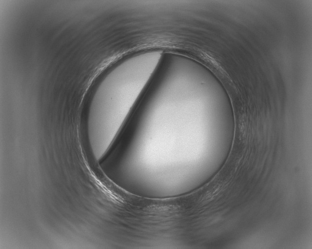 X0000057040629200509090817