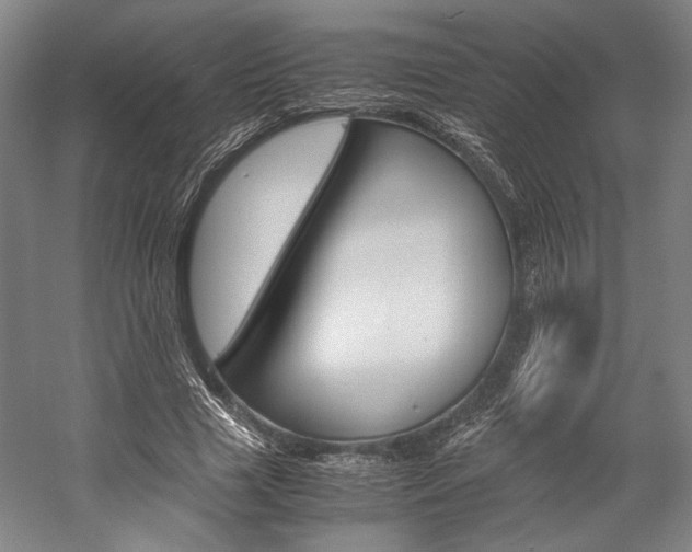 X0000057040633200509090817