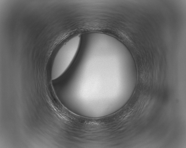 X0000057040635200509090817