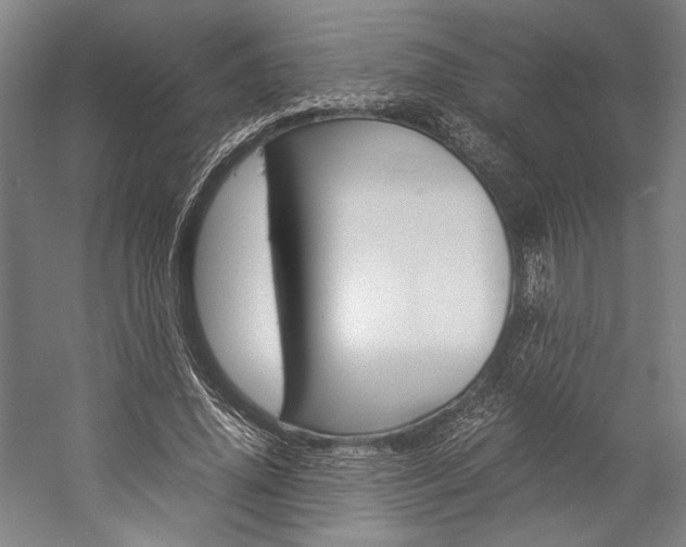 X0000057040636200509090817