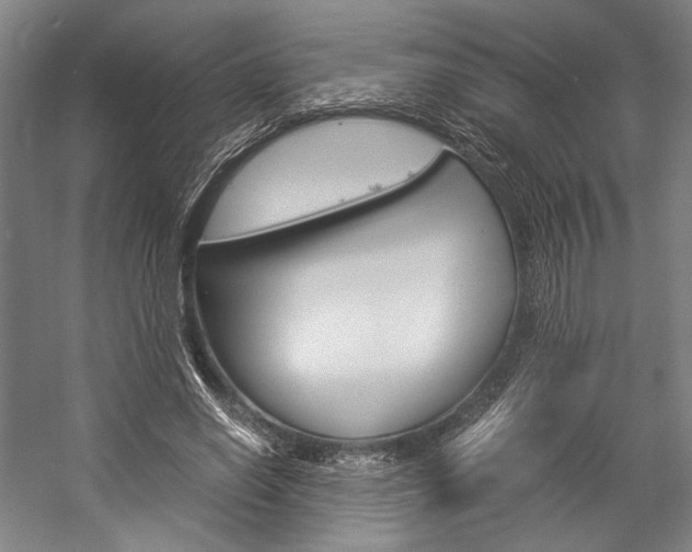 X0000057040638200509090817