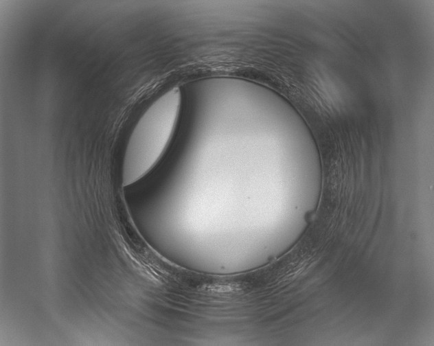 X0000057040639200509090817