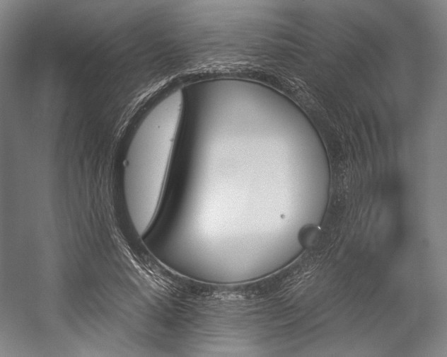 X0000057040640200509090817