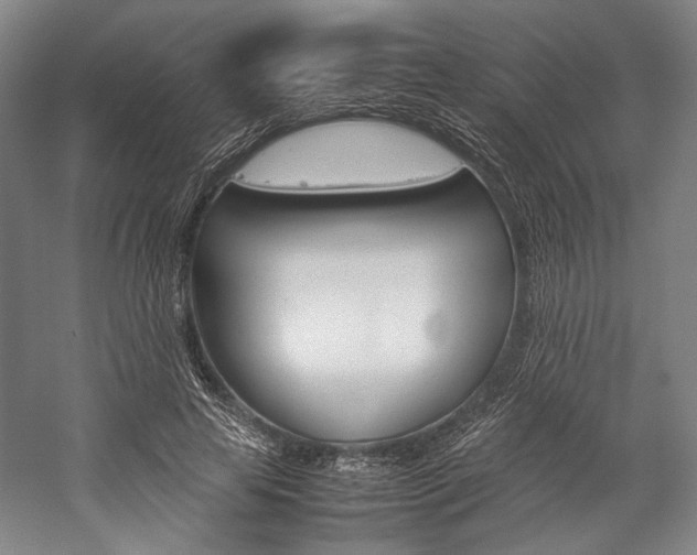 X0000057040641200509090817