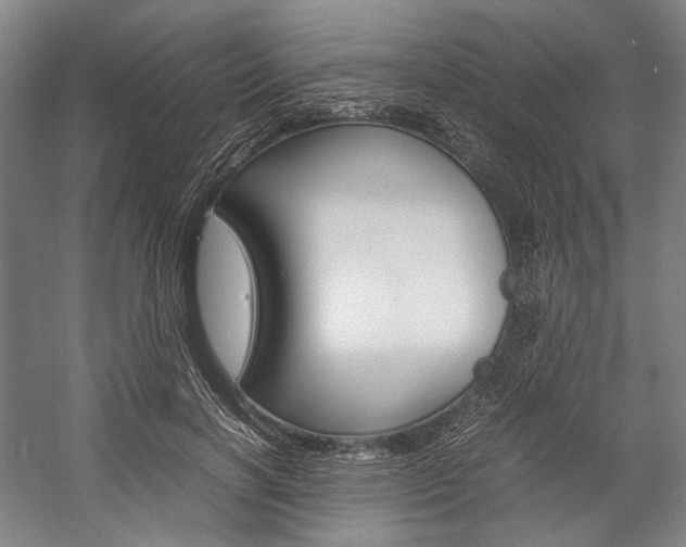 X0000057040646200509090817