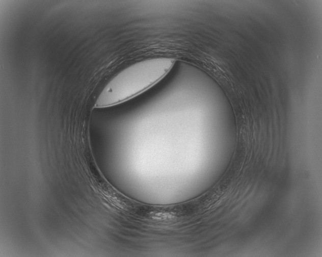 X0000057040649200509090817