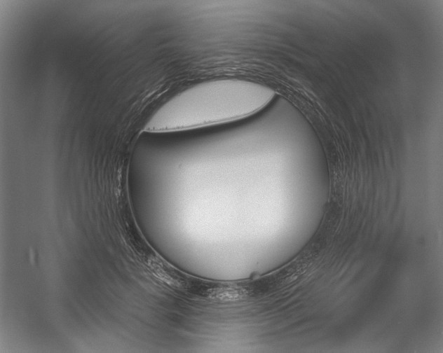 X0000057040652200509090817