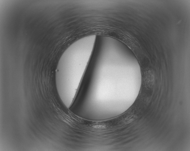 X0000057040653200509090817