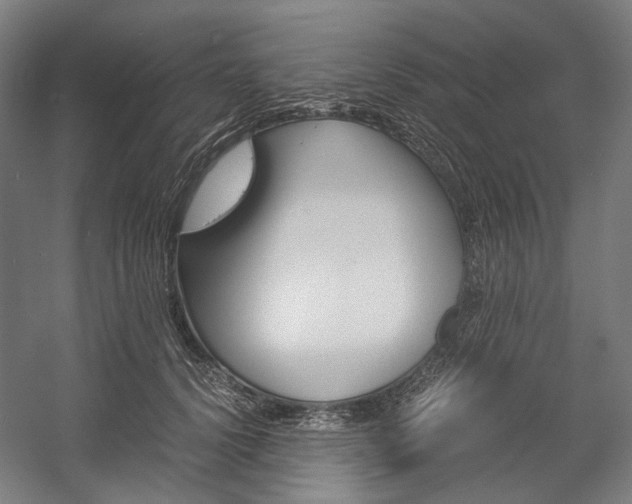 X0000057040656200509090817