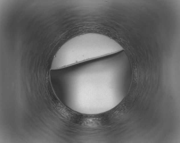 X0000057040657200509090817