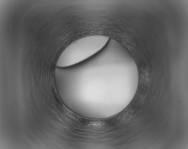 X0000057040659200509090817