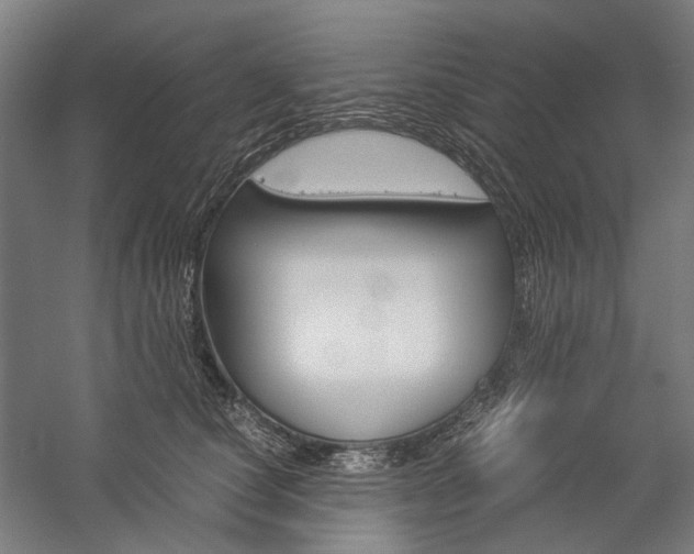 X0000057040660200509090818
