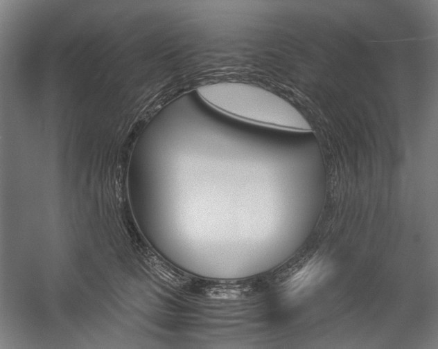 X0000057040661200509090818