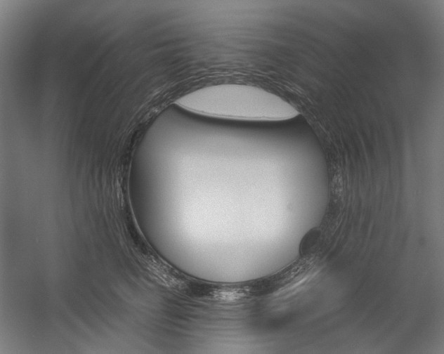 X0000057040662200509090818