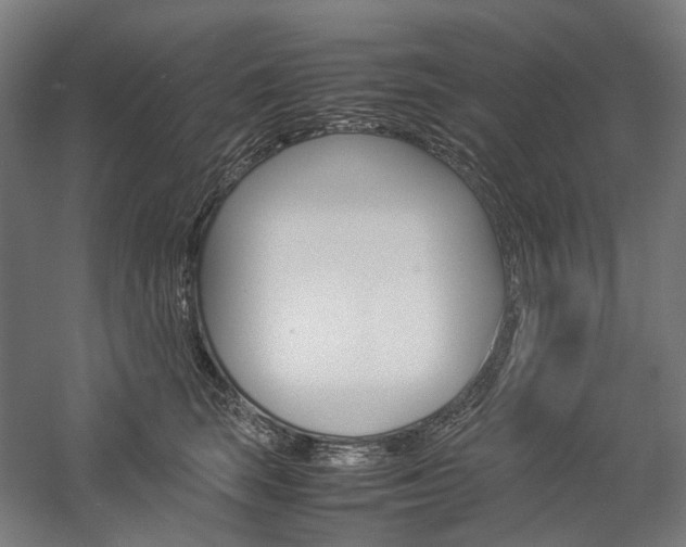 X0000057040663200509090818