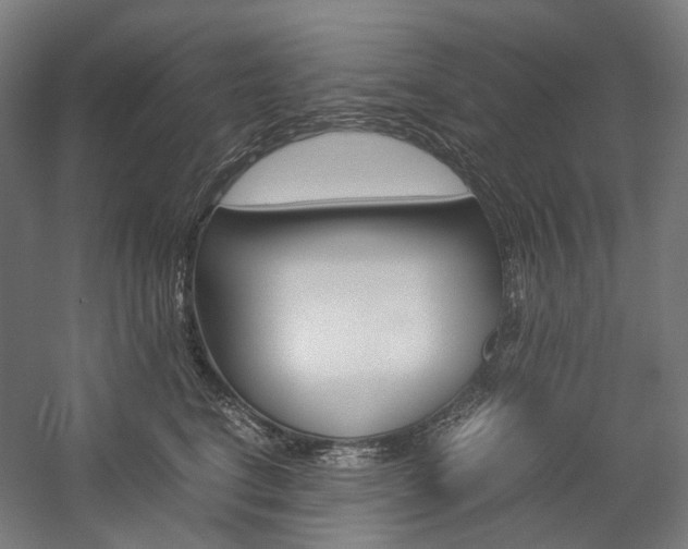 X0000057040664200509090818