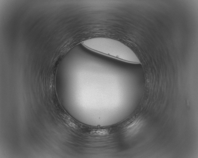 X0000057040665200509090818