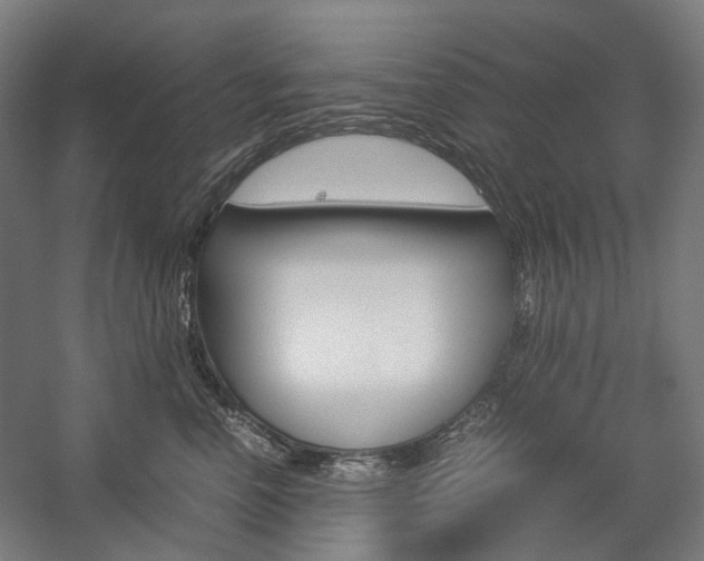 X0000057040666200509090818
