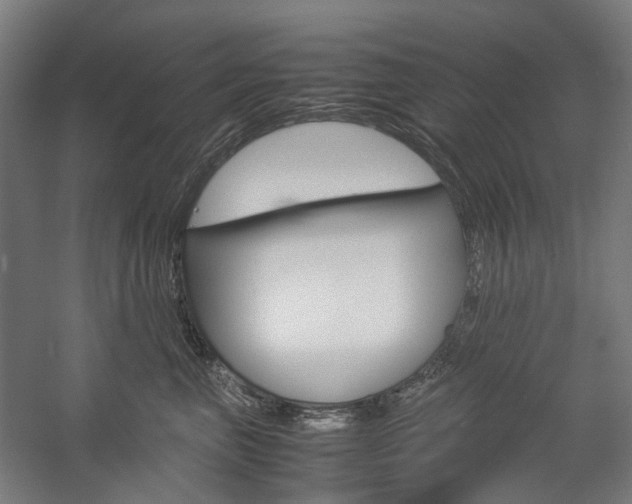 X0000057040667200509090818