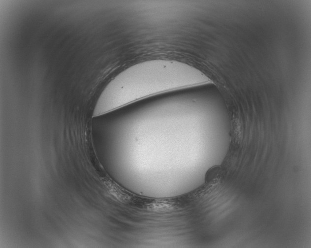 X0000057040668200509090818