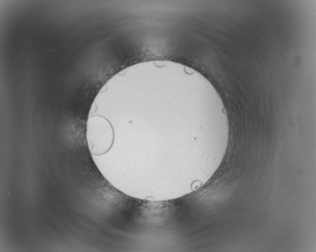 X0000057040672200509090818