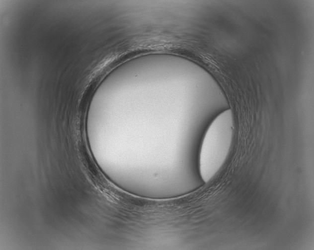 X0000057040679200509090817