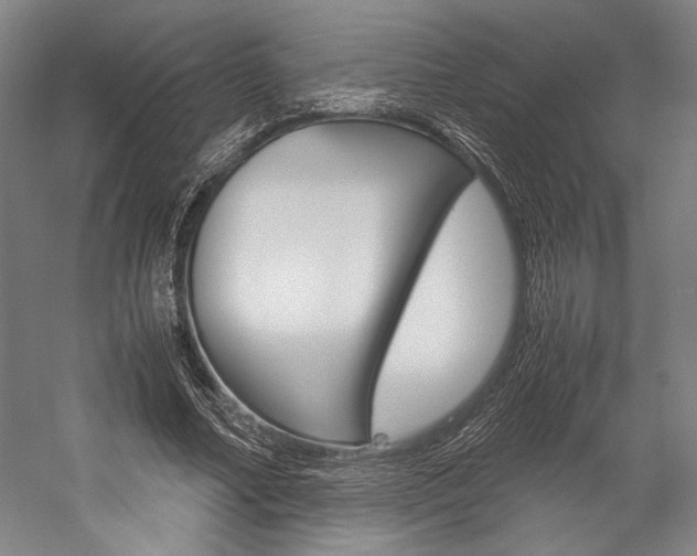 X0000057040682200509090817