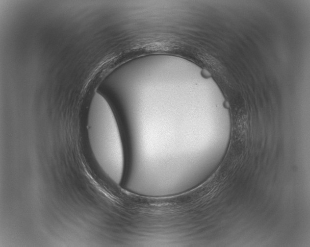 X0000057040686200509090817