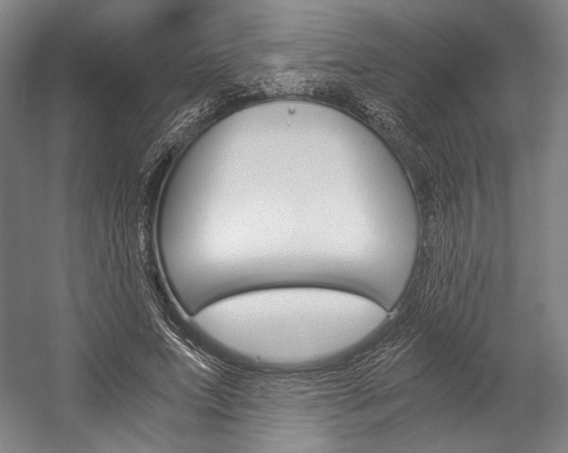 X0000057040687200509090817