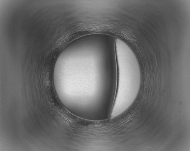 X0000057040689200509090817