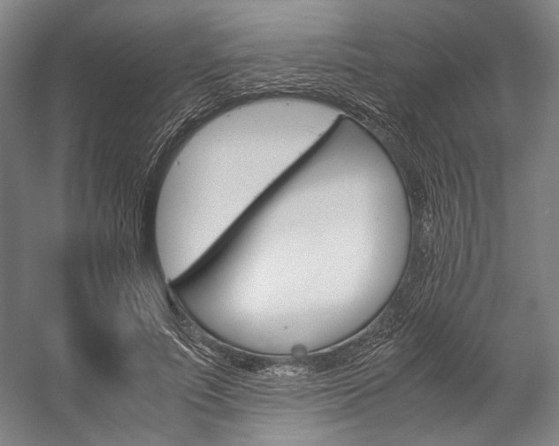 X0000057040691200509090817