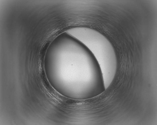 X0000057040692200509090817