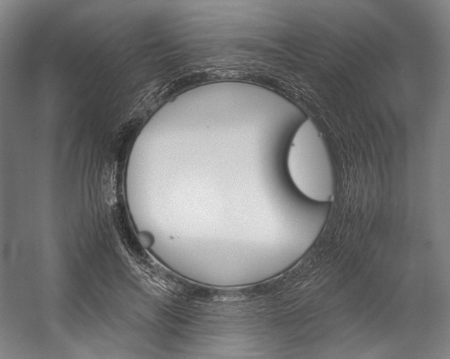 X0000057040694200509090817