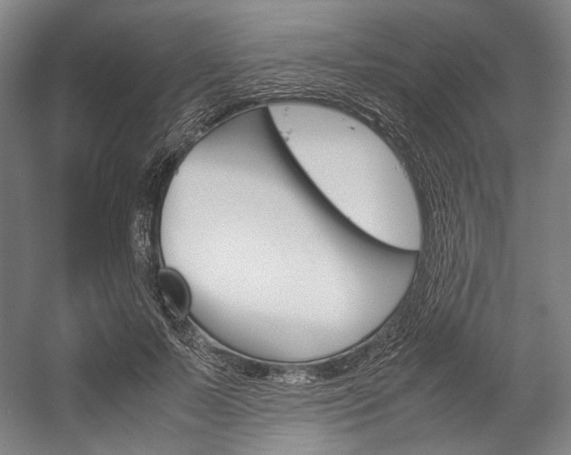 X0000057040695200509090817