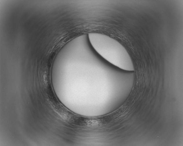 X0000057040698200509090816