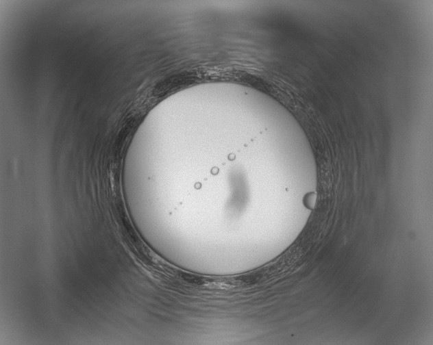 X0000057040703200509090816