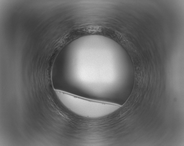 X0000057040704200509090816