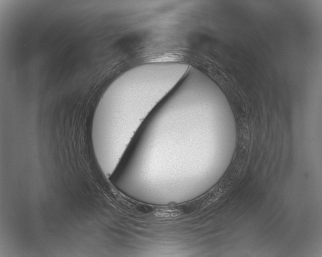 X0000057040707200509090816
