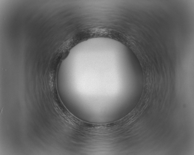 X0000057040708200509090816