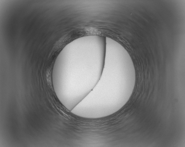 X0000057040713200509090816