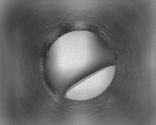 X0000057040715200509090816